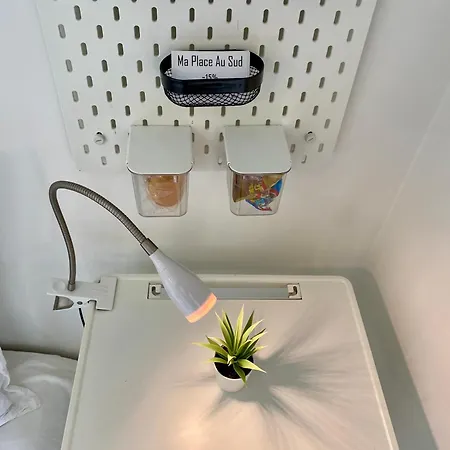 Ma Place Au Sud 405 * 尼斯